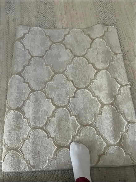 Photo of free Rug (SW13 0Nz) #1