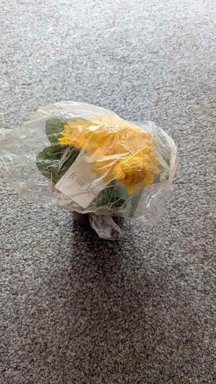 Photo of free Artificial plants (NN3 8XJ) #3