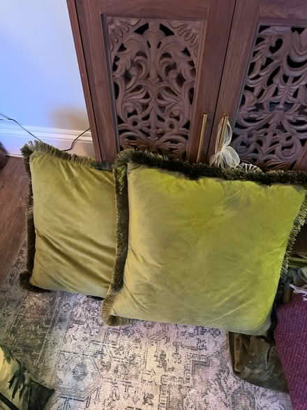 Photo of free Olive velour cushions x 2 (West Bridgford NG2) #1