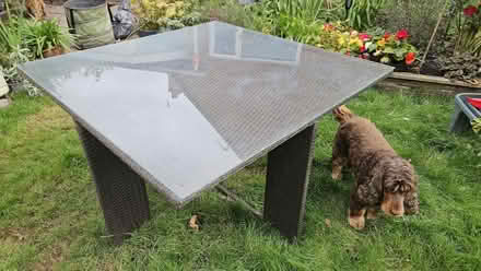 Photo of free Garden table and four chairs (Willaston CH64) #1