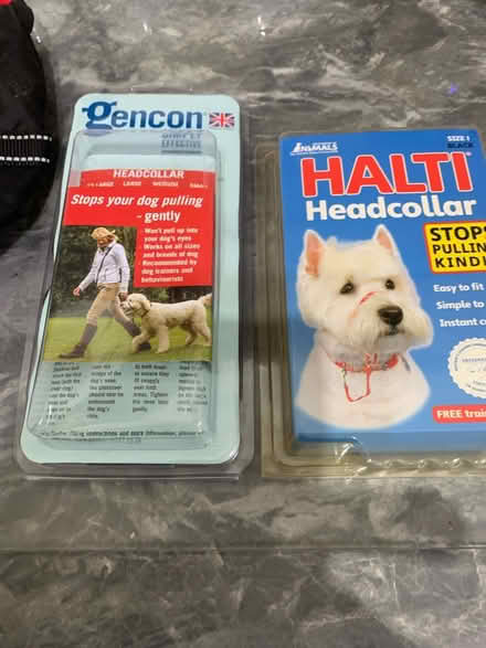 Photo of free Dog coat and halti (Sutton valence ME17) #2