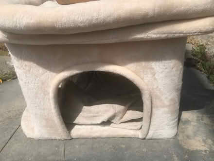 Photo of free Cat cave and toy (Stockton & Elm at) #1