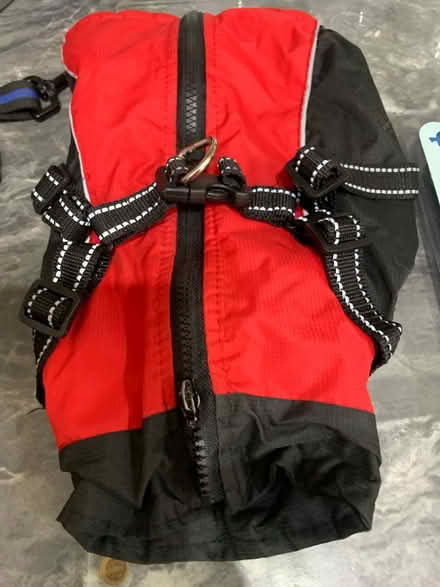 Photo of free Dog coat and halti (Sutton valence ME17) #1