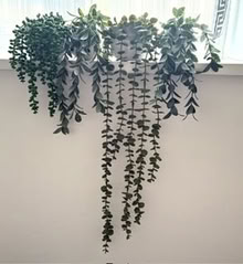 Photo of free 4 Faux Succulent plants (Central Watford WD17) #1