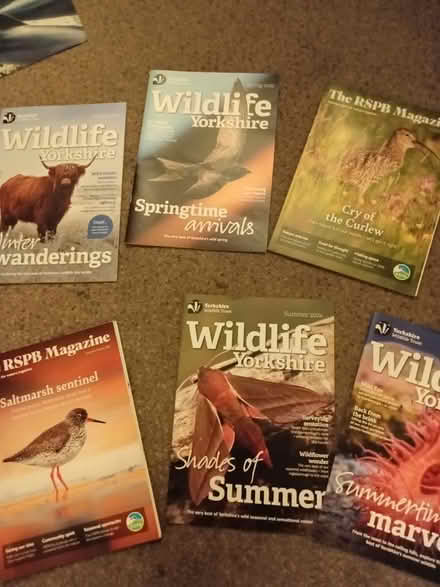Photo of free 10 wildlife magazines and poster (Harrogate. HG1.) #4