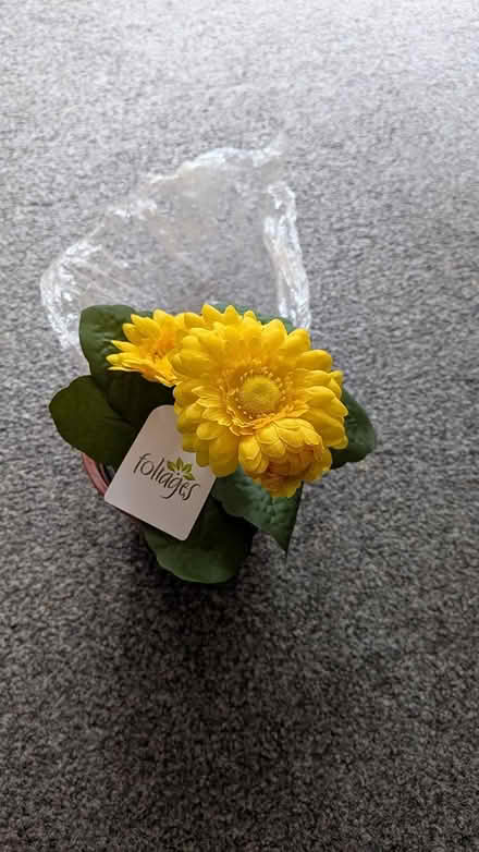 Photo of free Artificial plants (NN3 8XJ) #4