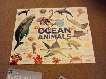 Photo of free 10 wildlife magazines and poster (Harrogate. HG1.) #1