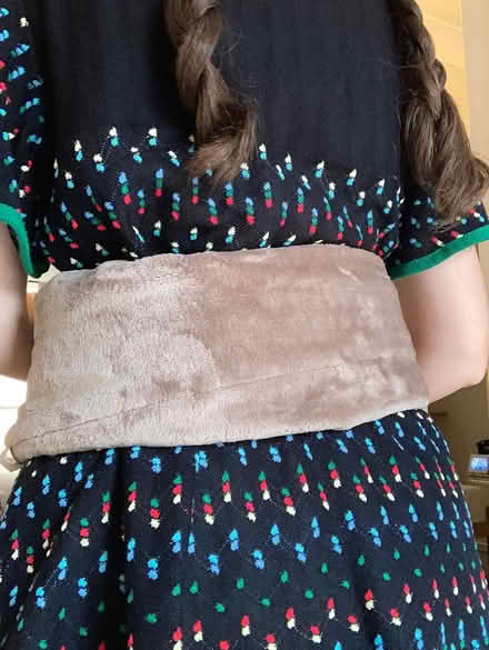 Photo of free Wearable hot water bottle (Willingdon BN22) #3