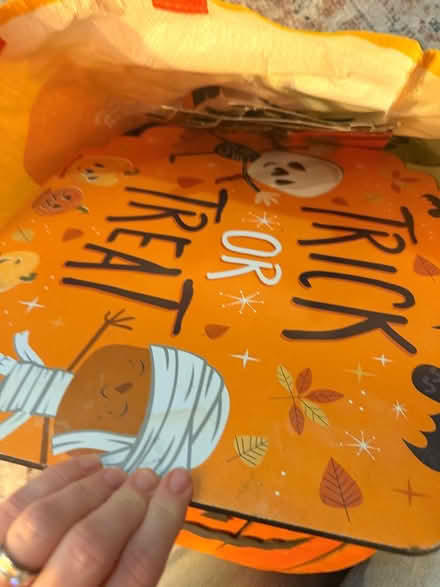 Photo of free Bag of Halloween bits (Burham Rochester ME1) #3