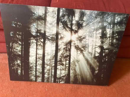 Photo of free Canvas picture (Chingford E4) #1