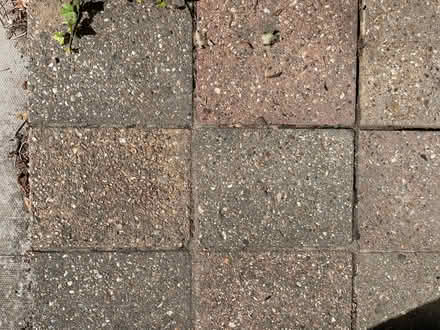 Photo of free concrete paving slabs (Seven Sisters N15) #1