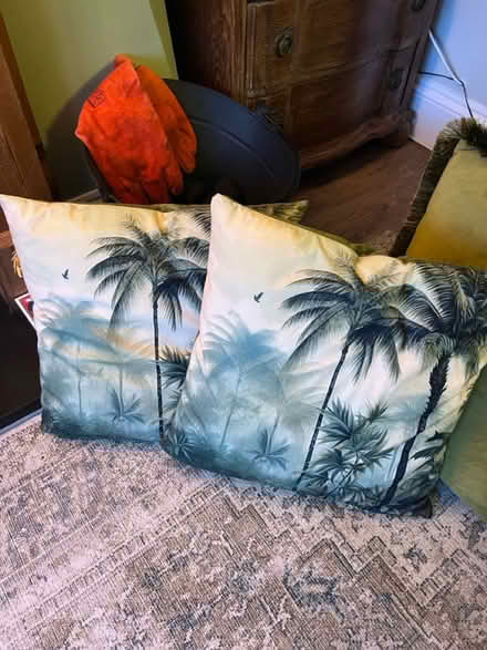 Photo of free Homesense sofa cushions x 2 (West Bridgford NG2) #1