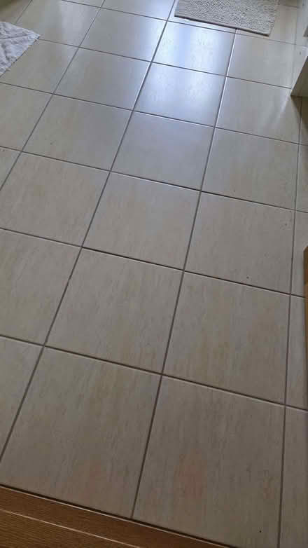 Photo of free Floor tiles (Monewden IP13) #2