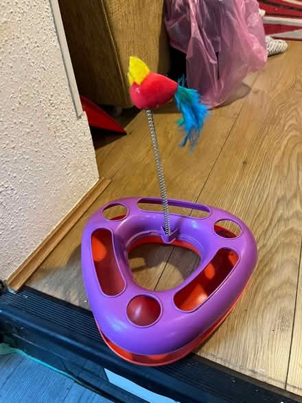 Photo of free Cat toy (Woodside CR0) #1