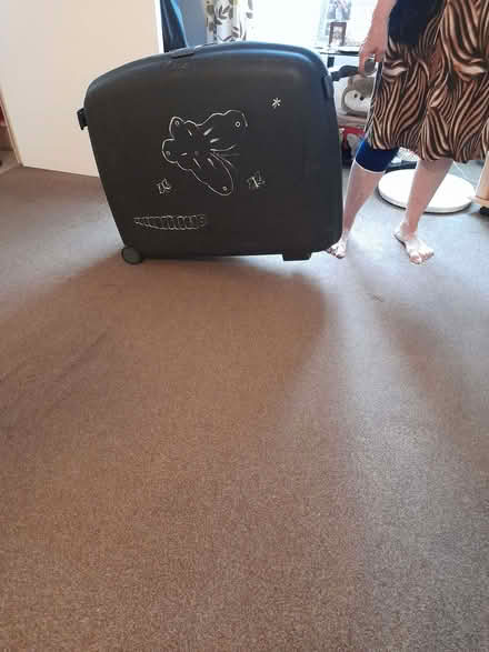 Photo of free Two Suitcases (Totland GU14) #2