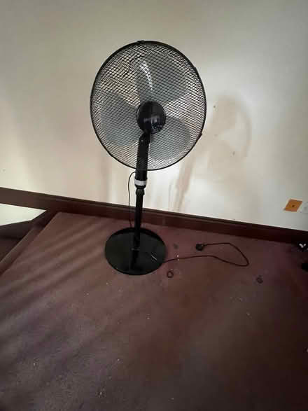 Photo of free Black pedestal floor fan (Fobbing SS17) #1