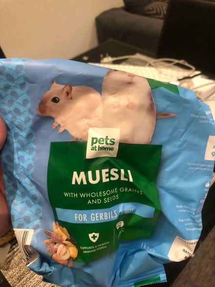 Photo of free gerbil food (Ha48hp) #2