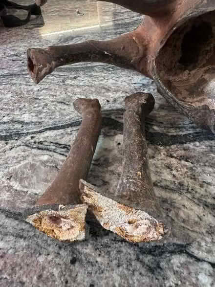 Photo of free Cast metal horse ornament – damaged, for repair/parts (Sion Hill BA1) #1