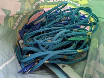 Photo of free Dog leads (HUNDREDS!) (Dudley Hill BD4) #4