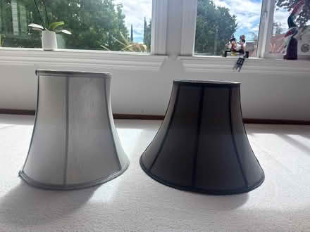 Photo of free Lamp shades (Pleasanton) #1