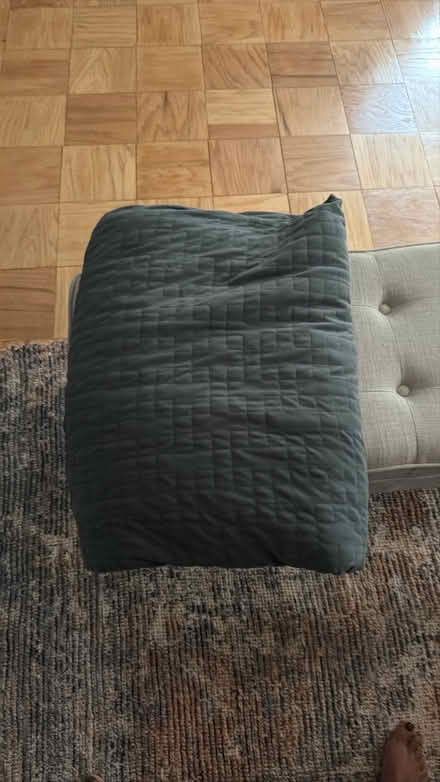 Photo of free 15 pound weighted blanket (Washington, DC) #1