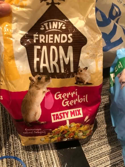Photo of free gerbil food (Ha48hp) #1