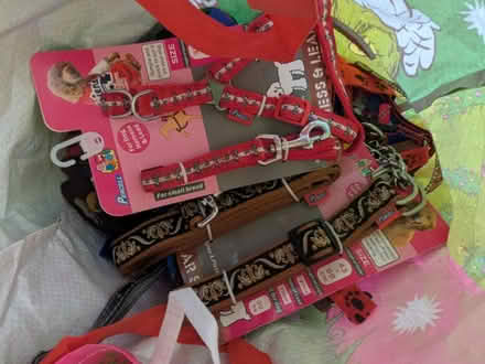Photo of free Dog leads (HUNDREDS!) (Dudley Hill BD4) #1