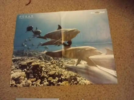 Photo of free 10 wildlife magazines and poster (Harrogate. HG1.) #2