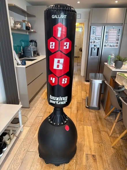 Photo of free Gallant Boxing Bag Freestanding (Weybridge, KT13) #1