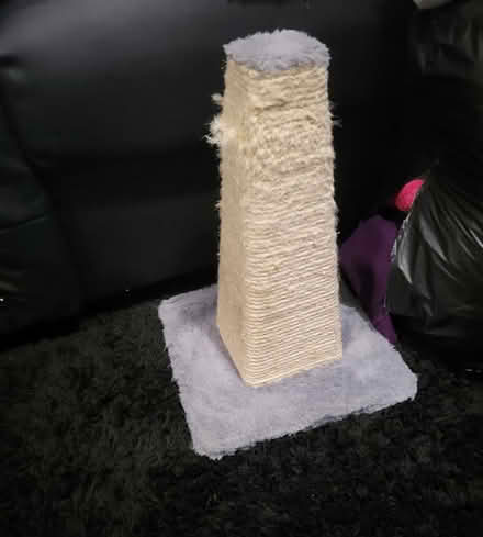 Photo of free Cat scratch post (Figges Marsh CR4) #1