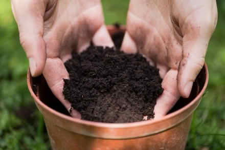Photo of Soil/compost for plants (De Beauvoir Town N1) #1