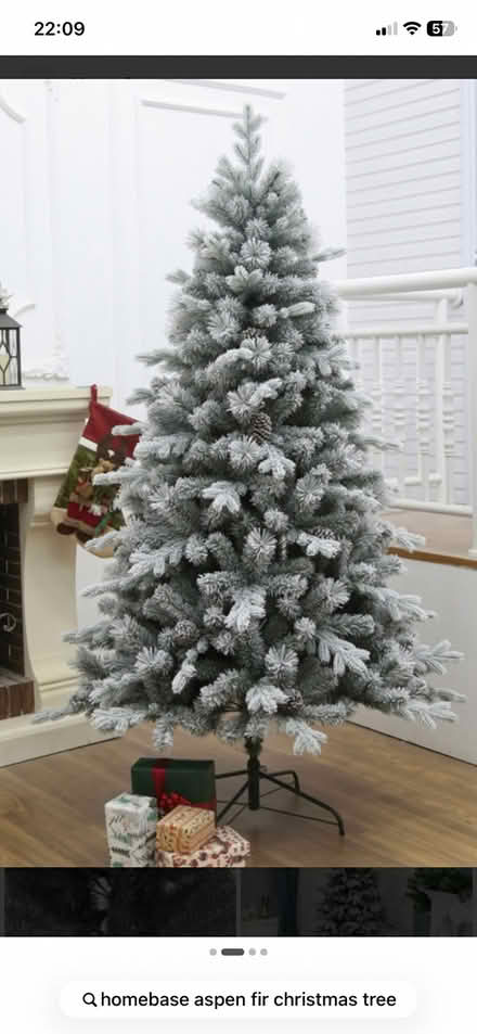 Photo of free Homebase Frosted 6ft Xmas Tree (Bournville B30) #1