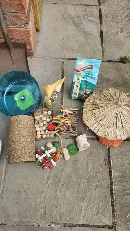 Photo of free Hamster Items (Bay Horse LA2) #1