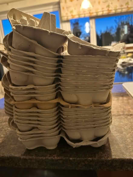 Photo of free Egg Boxes (Princes Risborough HP27) #1