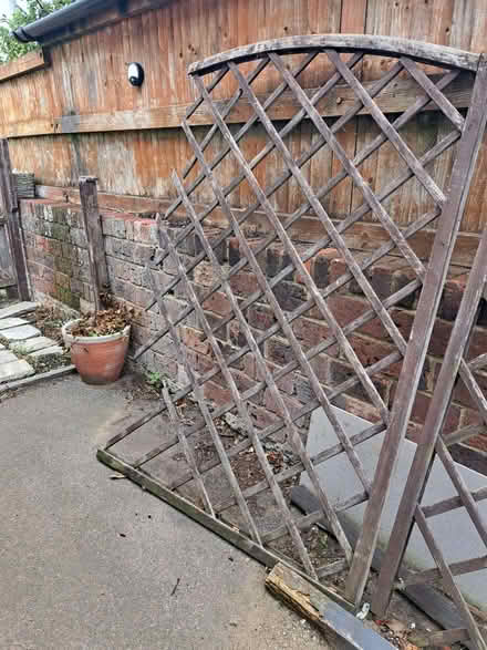 Photo of free Garden trellis (Newhaven BN9) #2