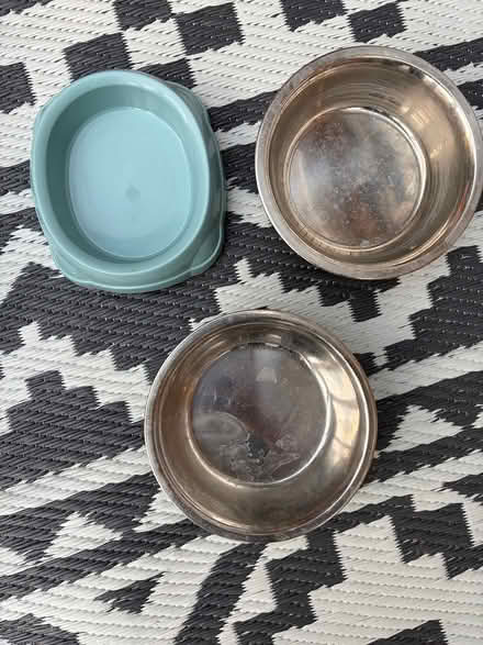 Photo of free Pet bowls (Tooting SW17) #2