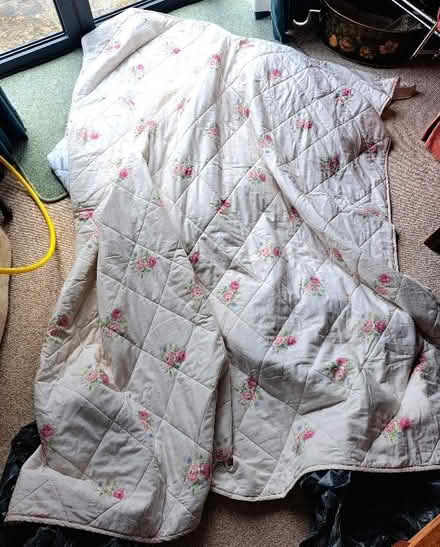 Photo of free Large, thin quilt & 3 pillows (Harden Moor BD21) #1