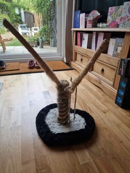 Photo of free Cat scratching post (St Albans AL1) #1