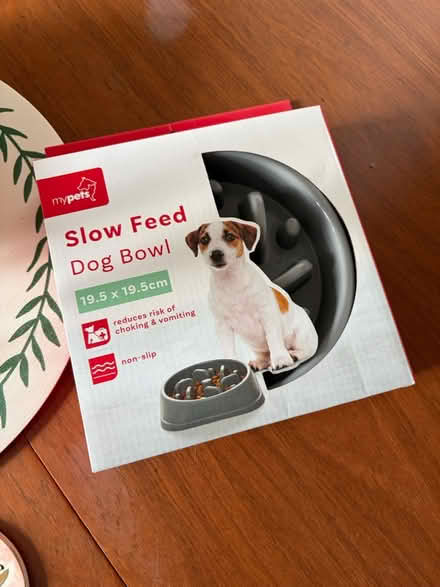 Photo of free Slow feed dog bowl (Trinity EH5) #1
