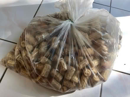 Photo of free Bag of wine corks (Thornhill) #1