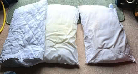Photo of free Large, thin quilt & 3 pillows (Harden Moor BD21) #2