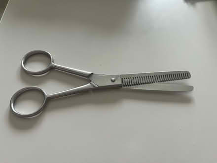 Photo of free Hair thinning scissors (Stenson Derby DE23) #1