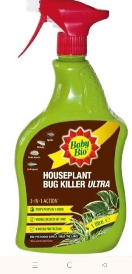 Photo of Plant bug spray (Leith EH6) #1