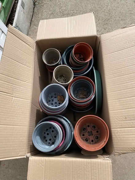 Photo of free Box of plant pots. (Priorslee TF2) #1