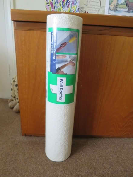 Photo of free Ceiling Paper (Southdown BA2) #4