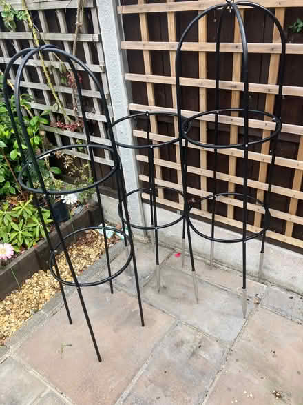 Photo of free Garden Plant Obelisks (Basildon SS14) #1
