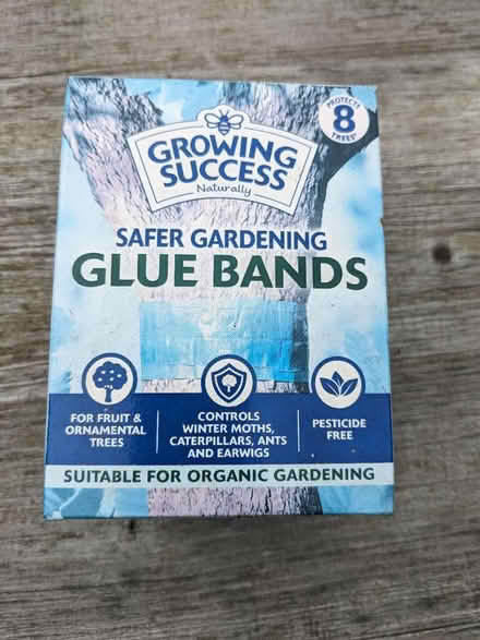Photo of free Glue bands for trees (Staplehurst TN12) #1