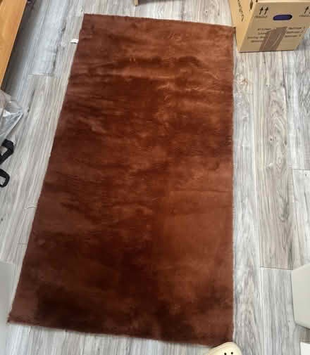 Photo of free Rug (SE5) #1