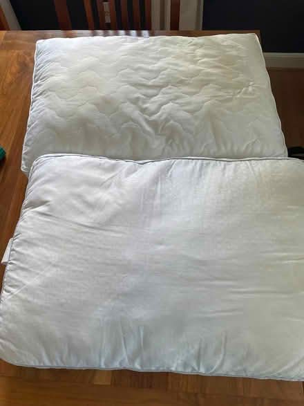 Photo of free Old pillows & blanket (Kensington) #1
