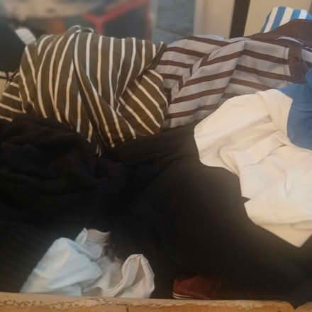 Photo of free Plus size tops (Spixworth NR10) #2